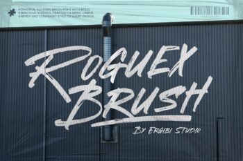 Roguex Brush